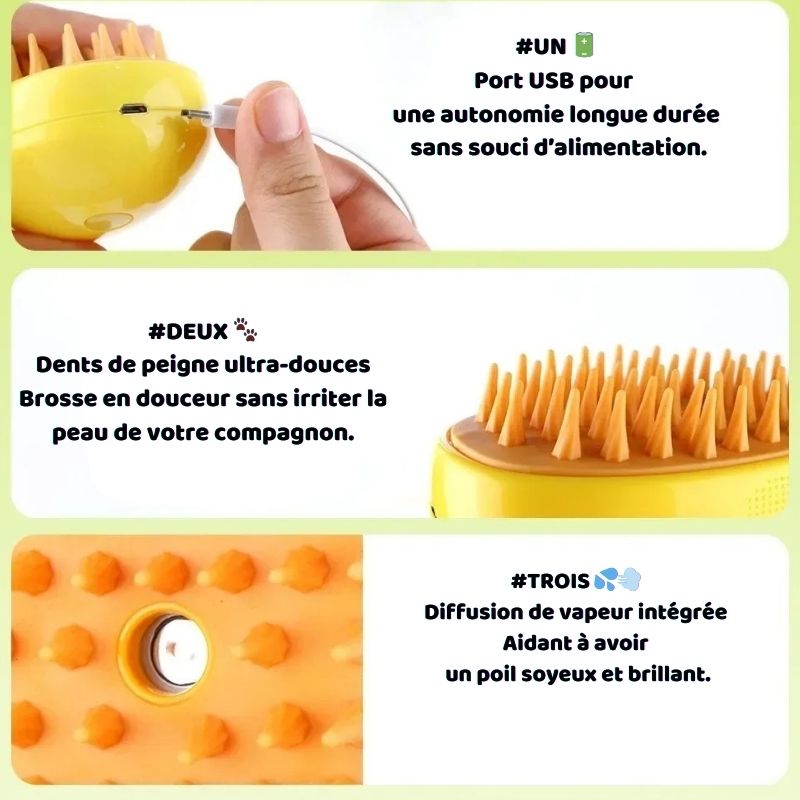 Brosse à Vapeur Relaxante