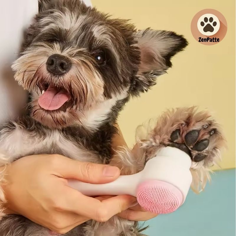 🐾 Nettoyeur de pattes & massage pour coussinets.