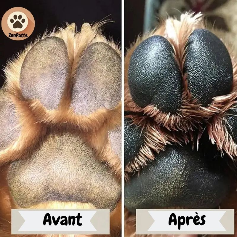 Soin Hydratant Naturel pour Pattes de Chien et Chat