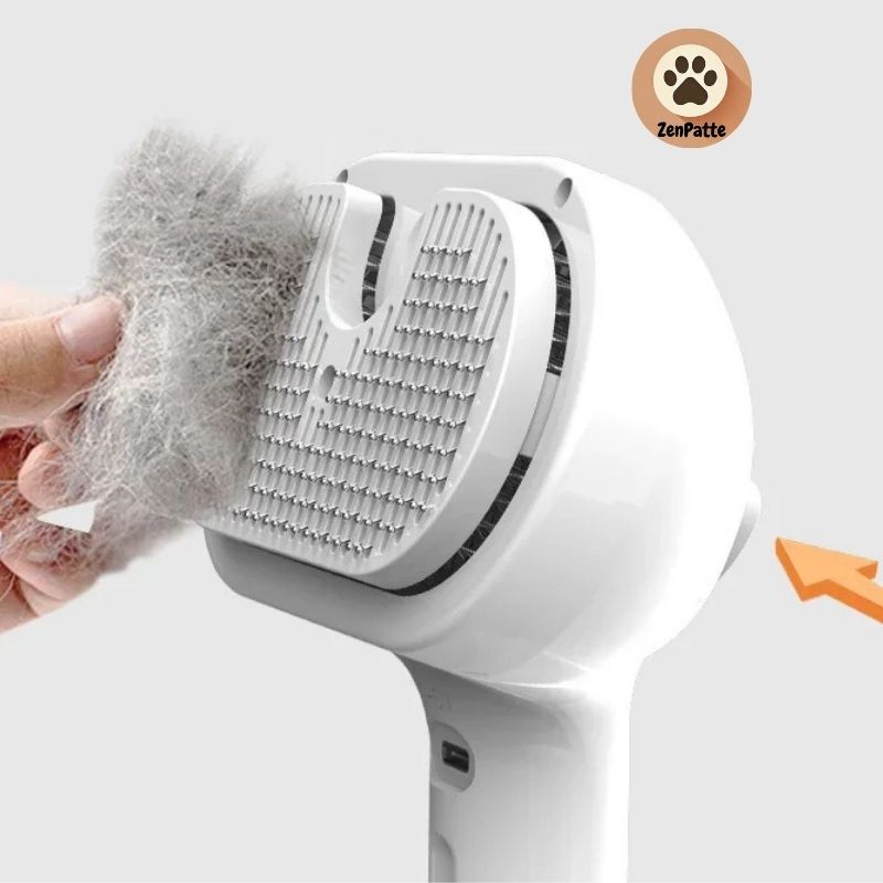 Brosse de toilettage vapeur multifonction pour chiens et chats