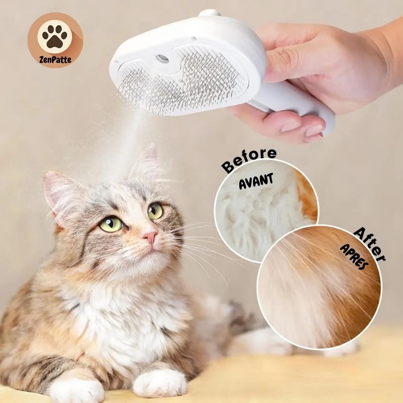 Brosse de toilettage vapeur multifonction pour chiens et chats
