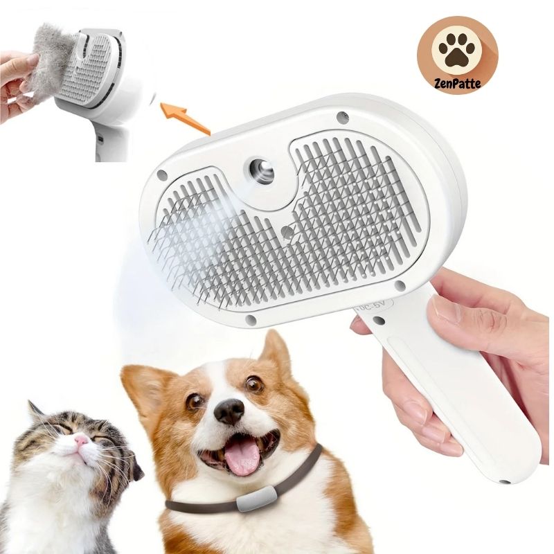 Brosse de toilettage vapeur multifonction pour chiens et chats